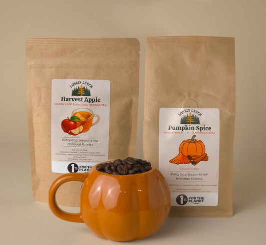 Fall Favorites