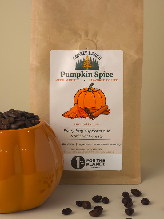 Fall Favorites